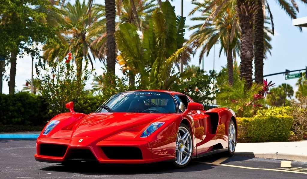 , , enzo,  , red, Ferrari, 