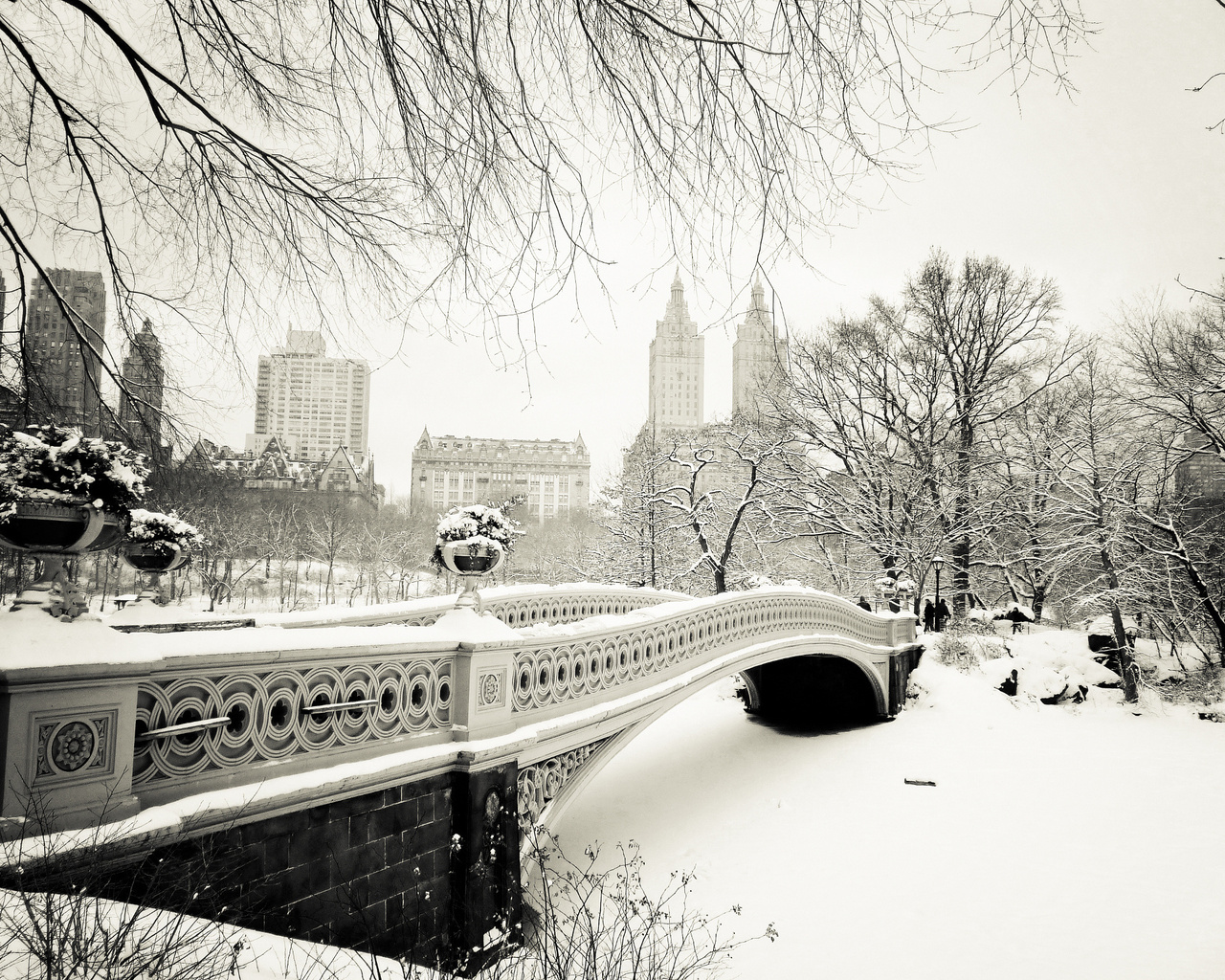 central park, usa, New york city, bow bridge, -, nyc, , manhattan