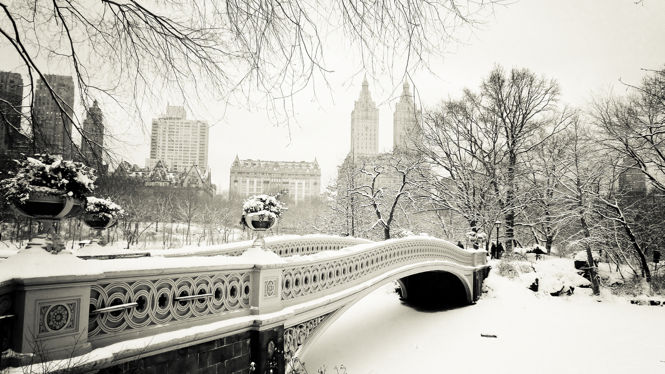 central park, usa, New york city, bow bridge, -, nyc, , manhattan