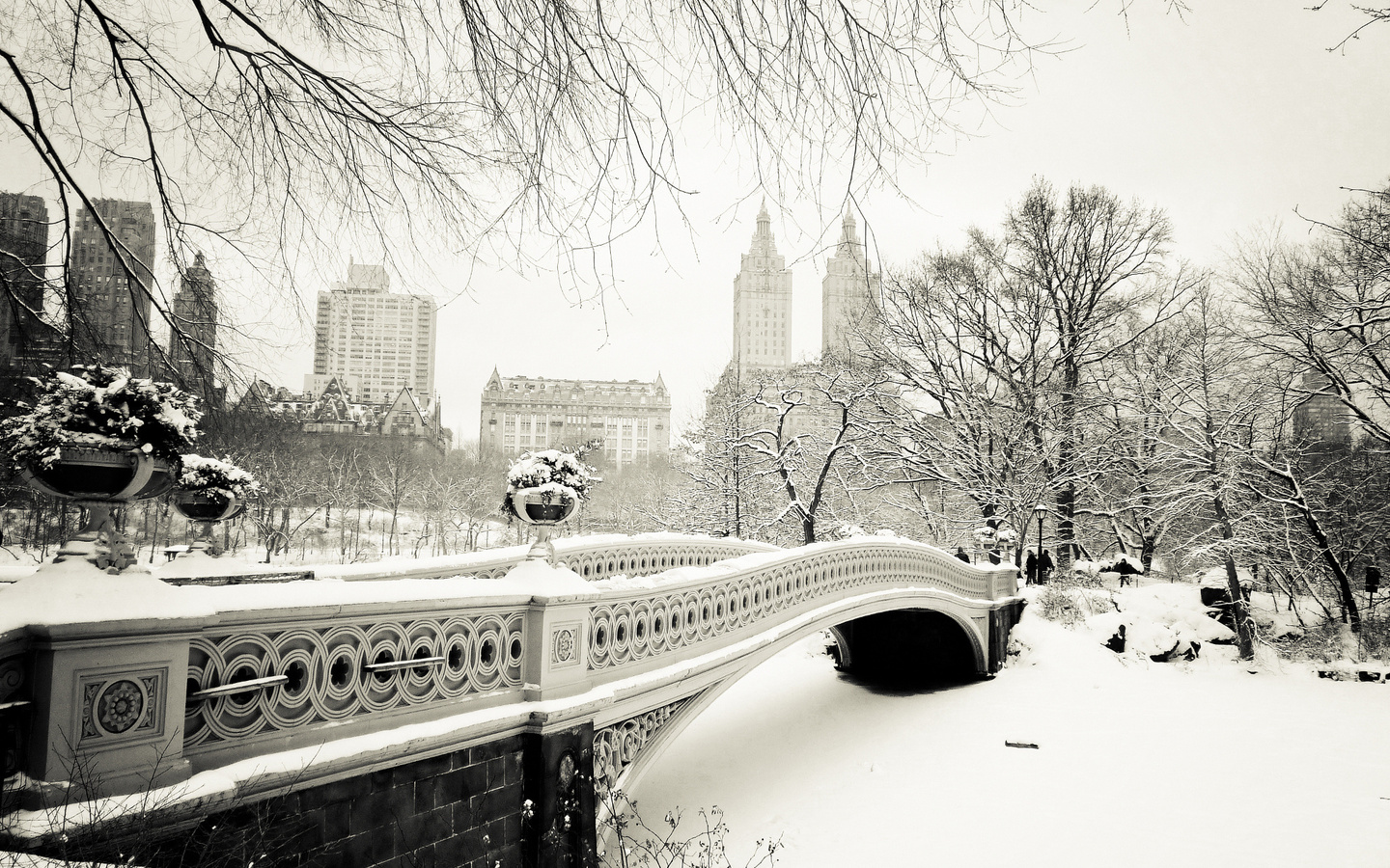 central park, usa, New york city, bow bridge, -, nyc, , manhattan