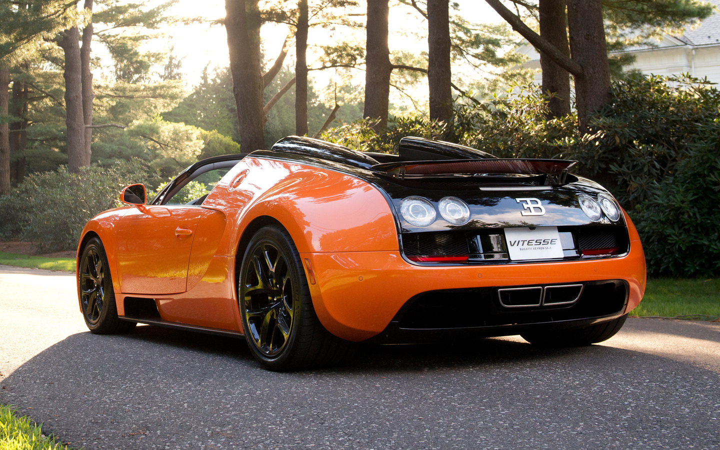 , vitesse,  , bugatti veyron, , 