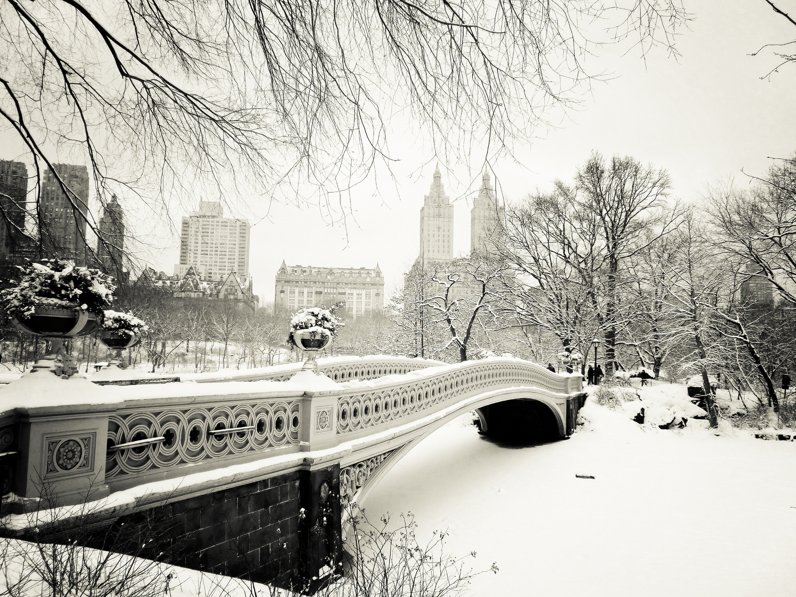 central park, usa, New york city, bow bridge, -, nyc, , manhattan