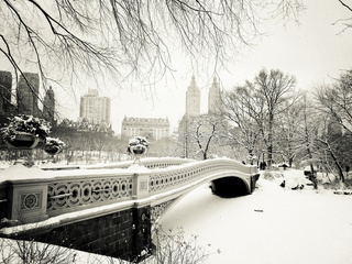 central park, usa, New york city, bow bridge, -, nyc, , manhattan