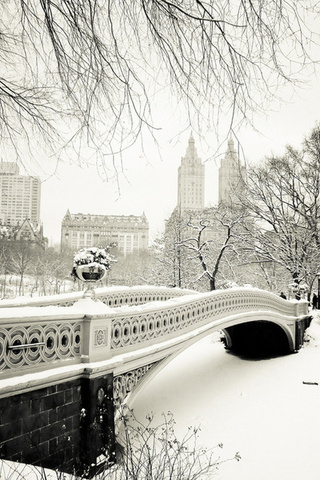 central park, usa, New york city, bow bridge, -, nyc, , manhattan