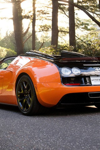 , vitesse,  , bugatti veyron, , 