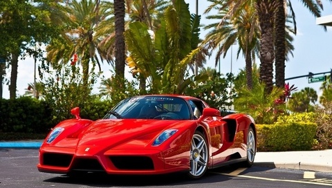 , , enzo,  , red, Ferrari, 