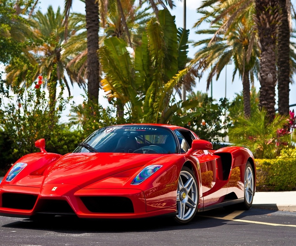 , , enzo,  , red, Ferrari, 