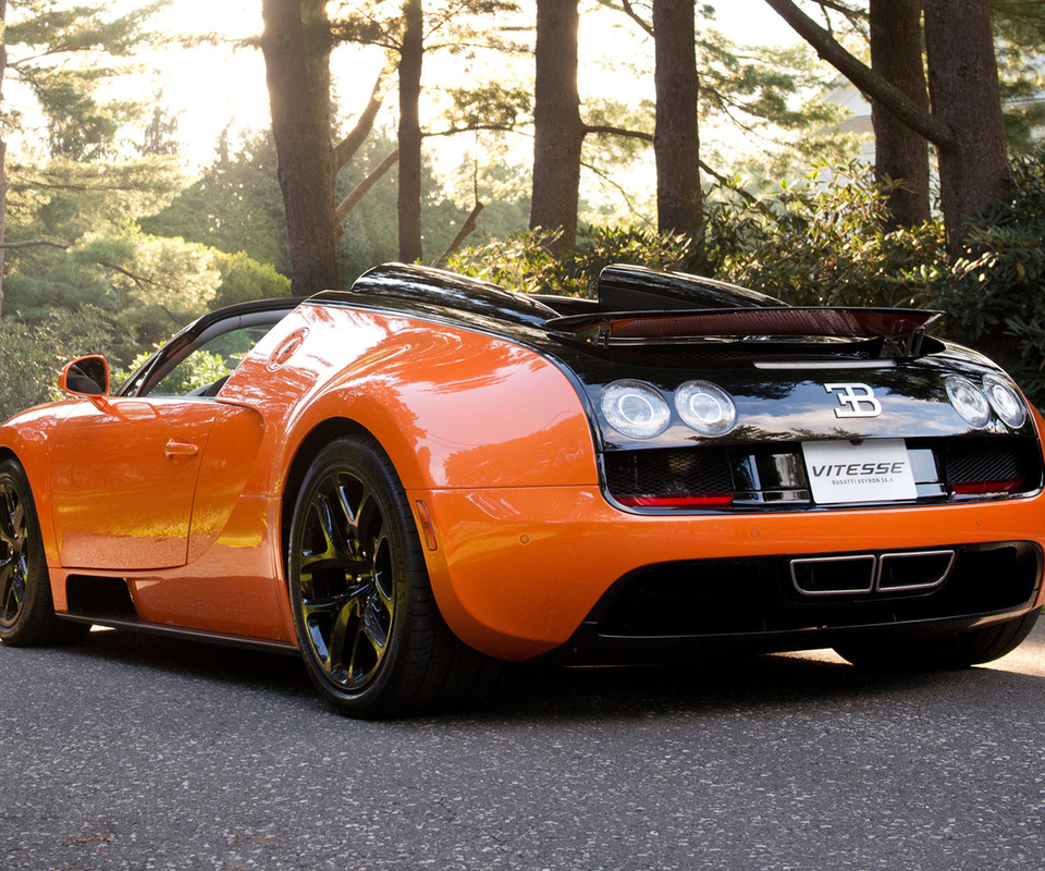 , vitesse,  , bugatti veyron, , 