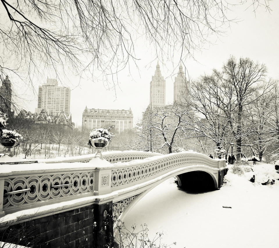 central park, usa, New york city, bow bridge, -, nyc, , manhattan