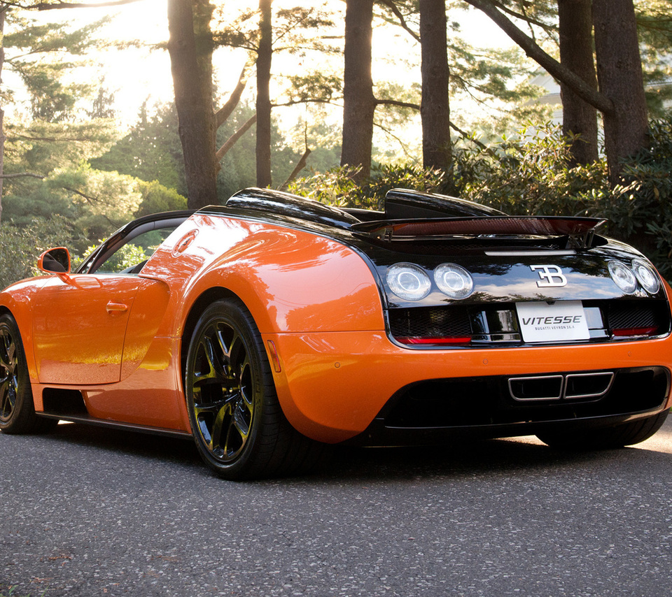 , vitesse,  , bugatti veyron, , 