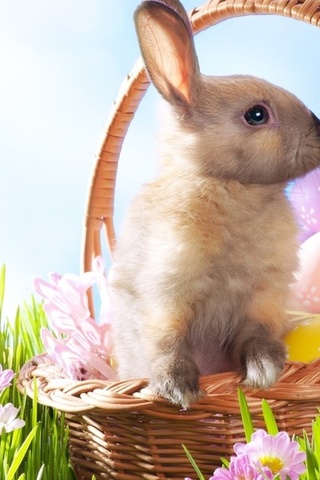 , , , , , Easter