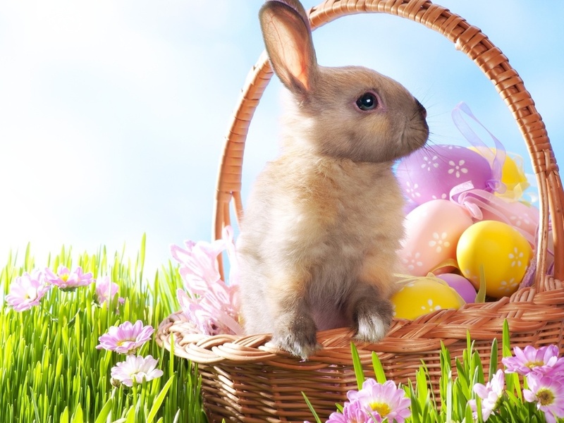 , , , , , Easter