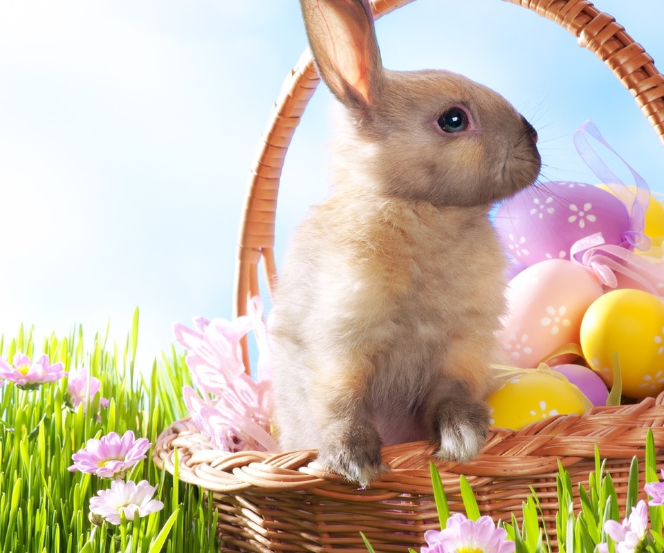 , , , , , Easter