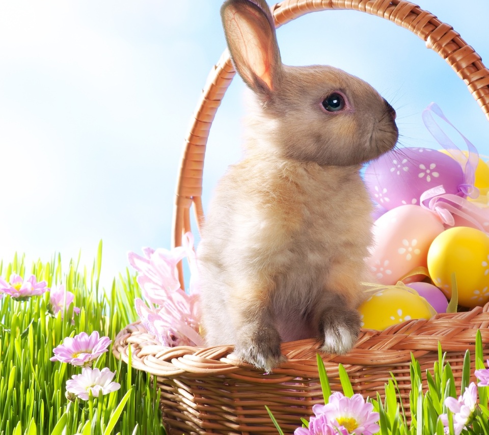 , , , , , Easter