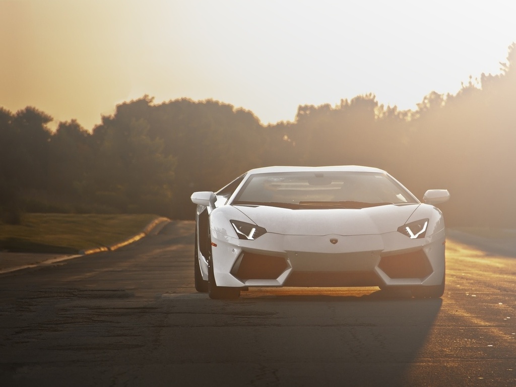 Lamborghini, aventador, road, lp700-4, , sunset, white, 