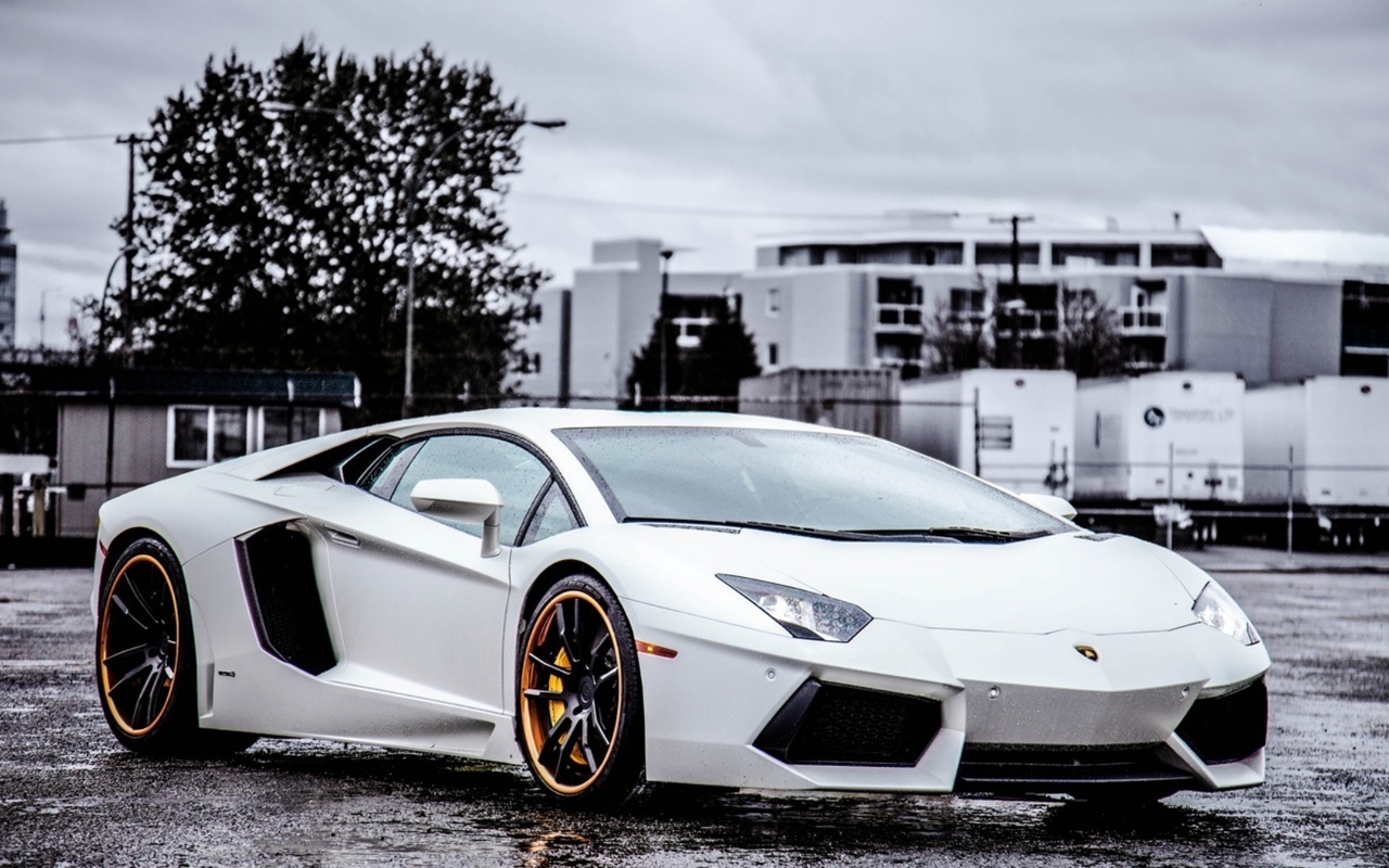 aventador, , wheels, white, , black, Lamborghini, lp700-4