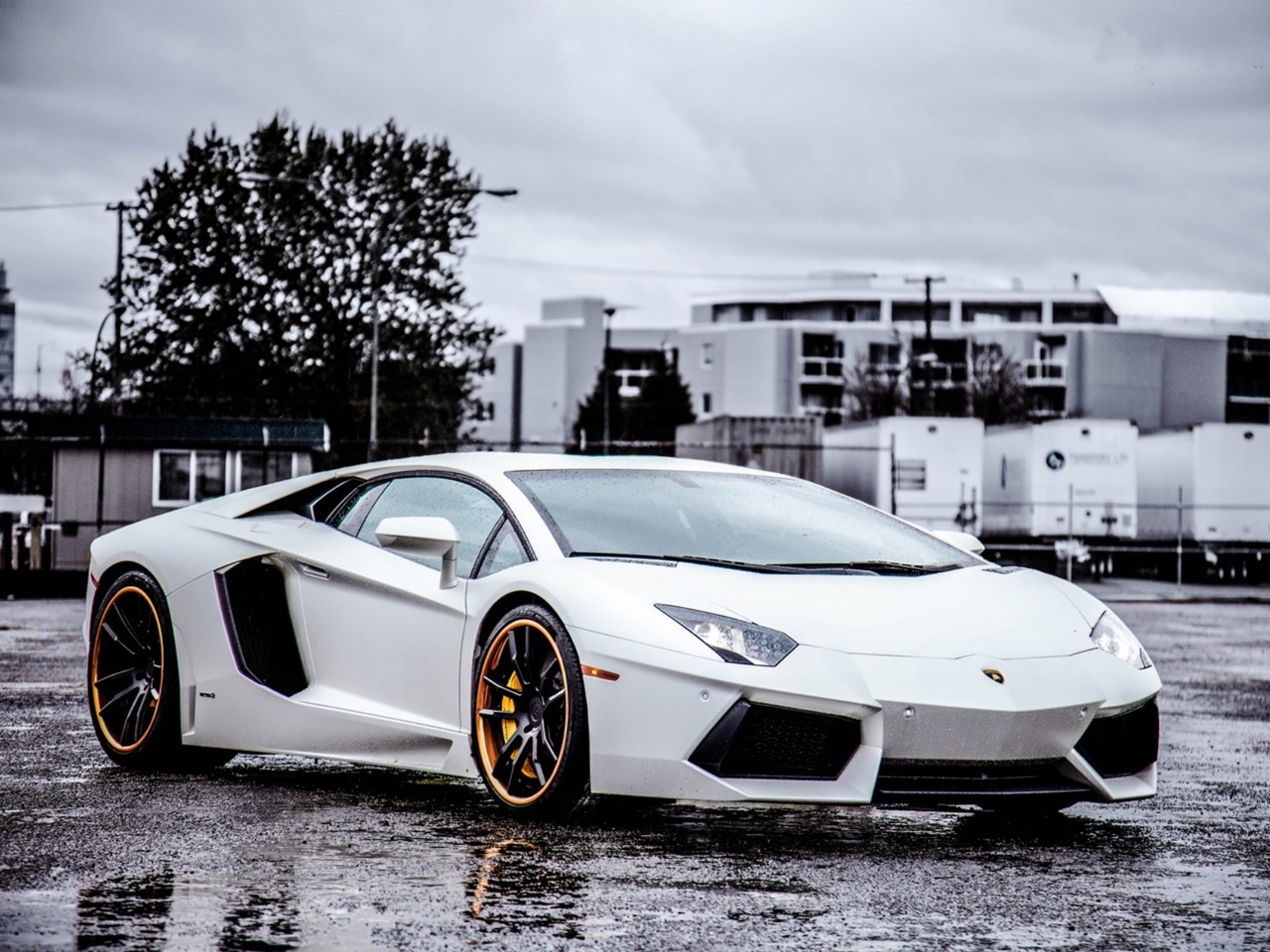 aventador, , wheels, white, , black, Lamborghini, lp700-4