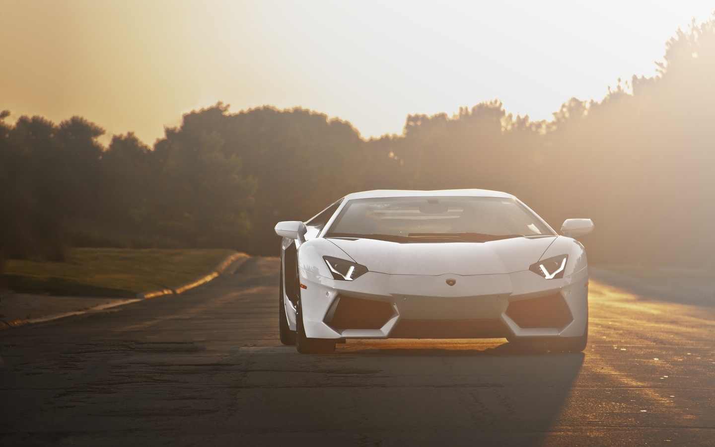Lamborghini, aventador, road, lp700-4, , sunset, white, 