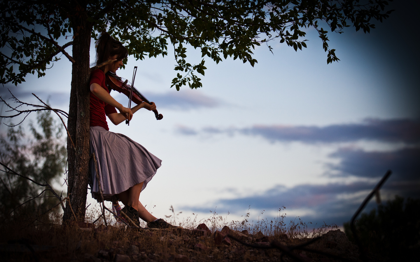 Lindsey stirling, ,  , violin, 