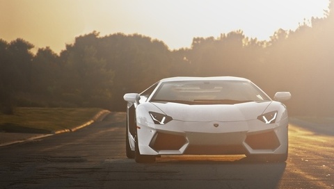 Lamborghini, aventador, road, lp700-4, , sunset, white, 