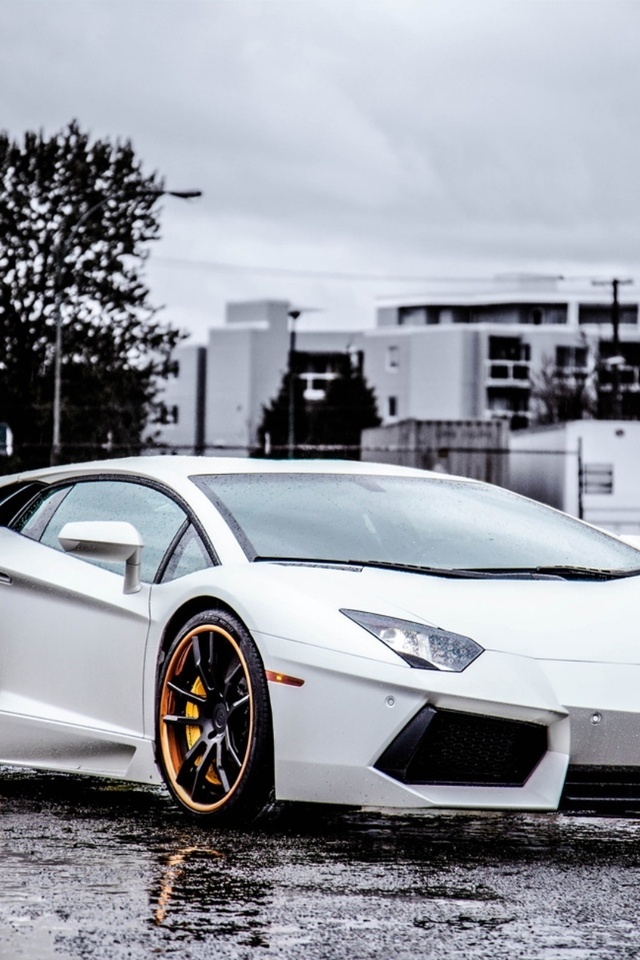 aventador, , wheels, white, , black, Lamborghini, lp700-4