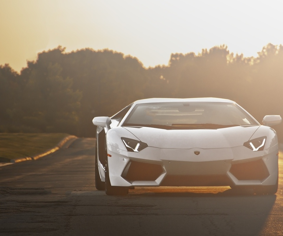 Lamborghini, aventador, road, lp700-4, , sunset, white, 