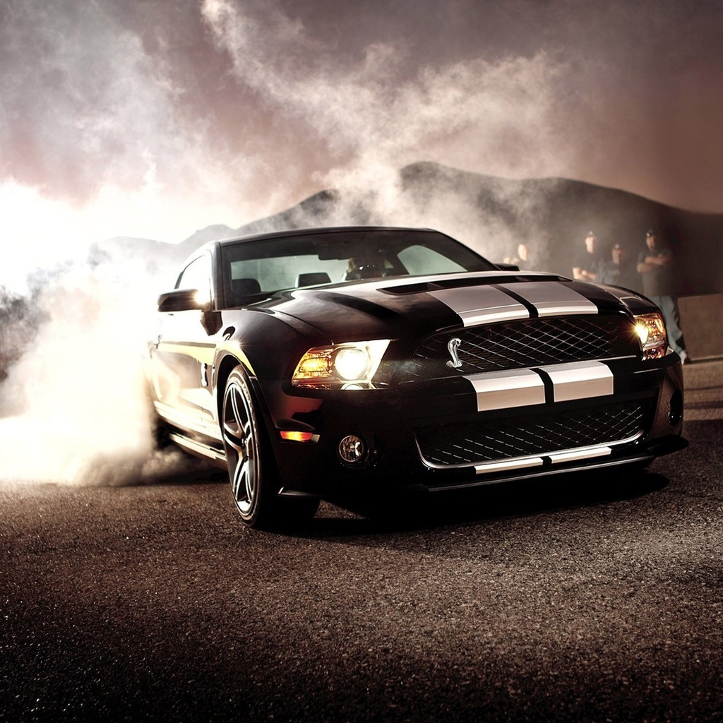 , ford, shelby, , gt500, Ford mustang shelby gt 500