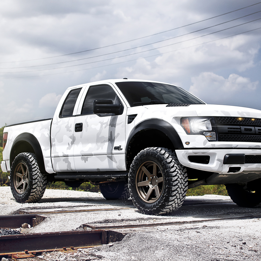 , , Ford, white, raptor, svt, , f-150