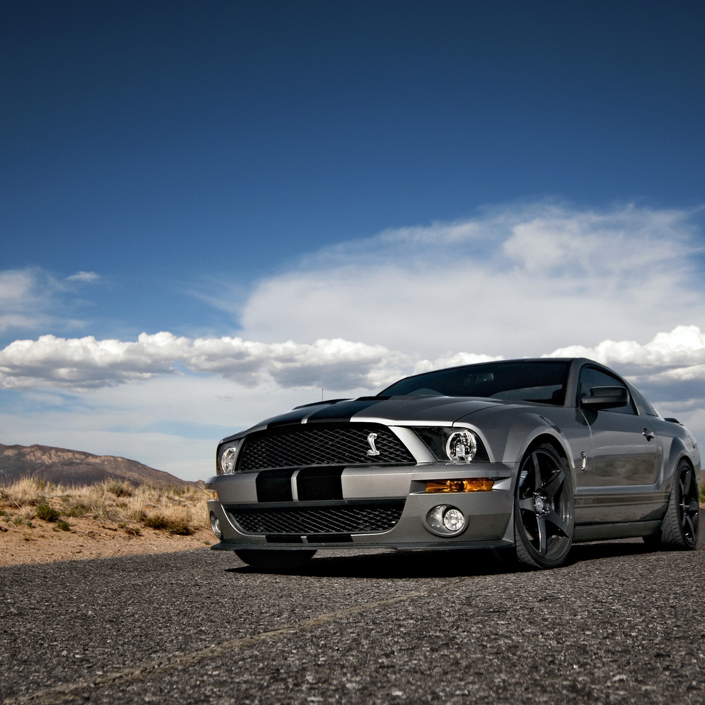 Ford, mustang, , shelby, muscle car, silvery, , , gt500