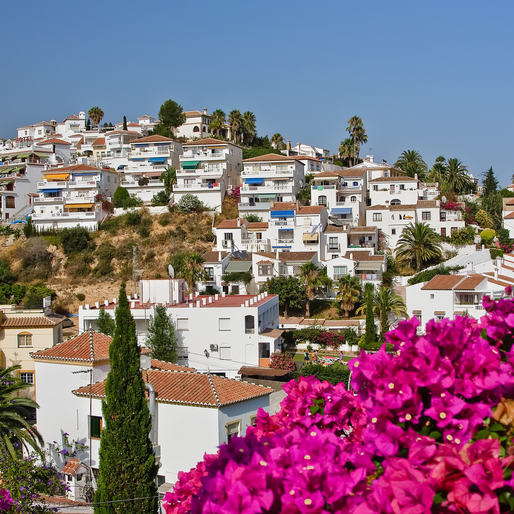 palms, nature, houses, spain, nerja, sky, flowers, city, Spanish landscape, tress