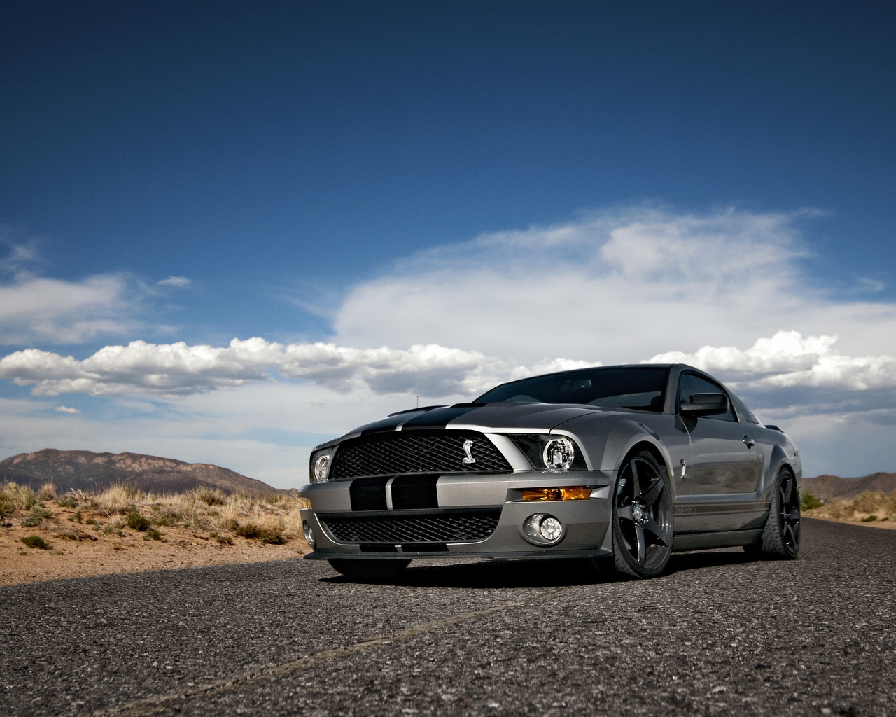 Ford, mustang, , shelby, muscle car, silvery, , , gt500