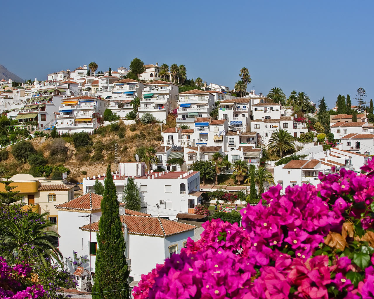 palms, nature, houses, spain, nerja, sky, flowers, city, Spanish landscape, tress