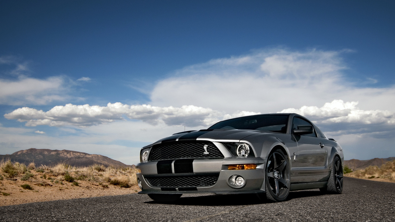 Ford, mustang, , shelby, muscle car, silvery, , , gt500