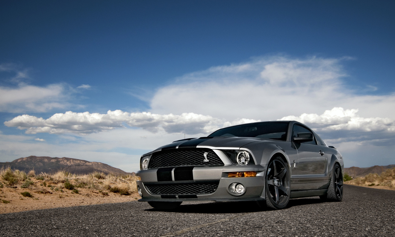 Ford, mustang, , shelby, muscle car, silvery, , , gt500