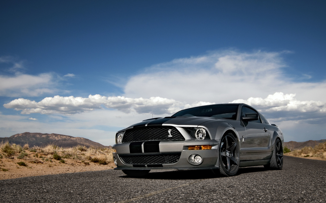 Ford, mustang, , shelby, muscle car, silvery, , , gt500