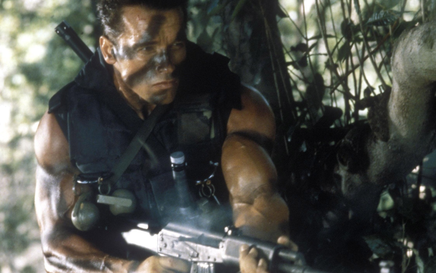 commando, arnold schwarzenegger, ,  