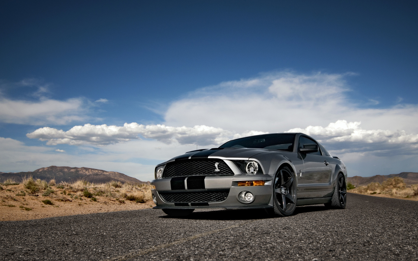 Ford, mustang, , shelby, muscle car, silvery, , , gt500