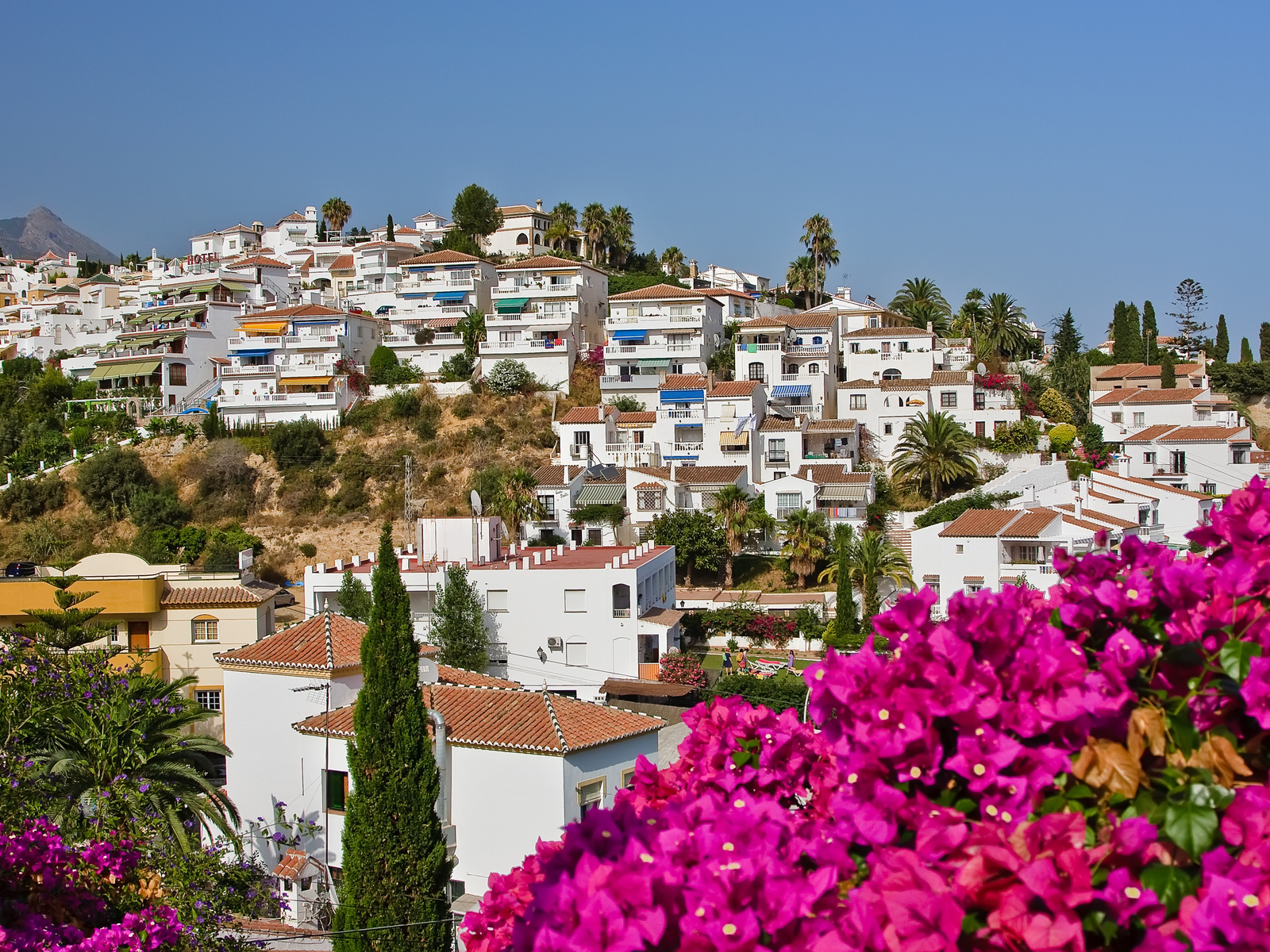 palms, nature, houses, spain, nerja, sky, flowers, city, Spanish landscape, tress