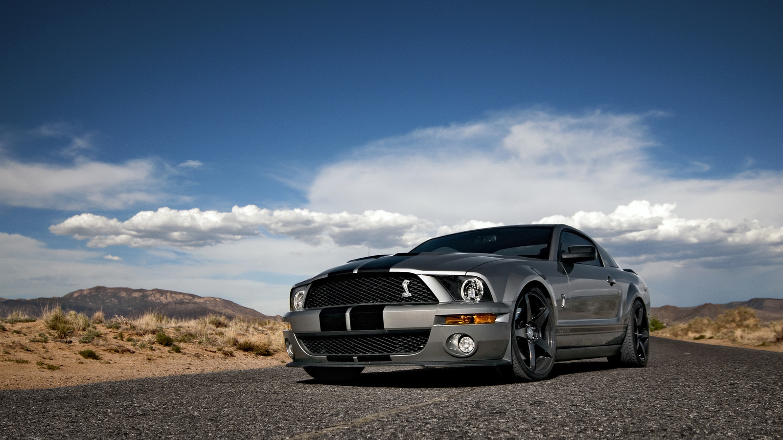 Ford, mustang, , shelby, muscle car, silvery, , , gt500