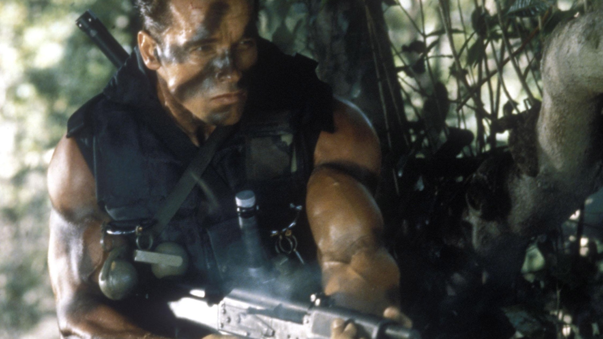 commando, arnold schwarzenegger, ,  