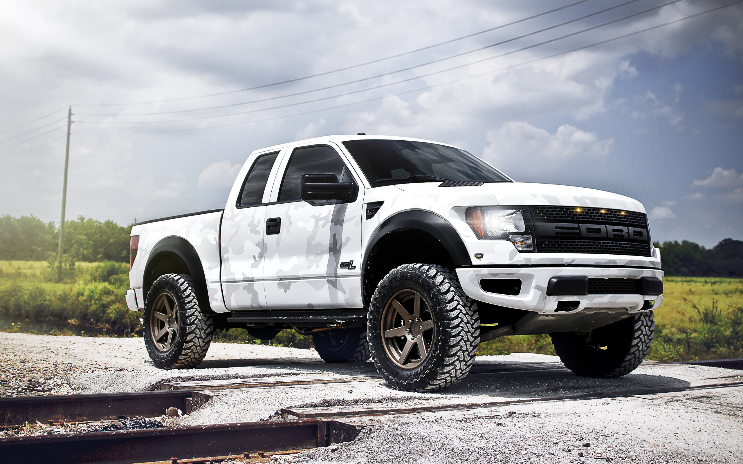 , , Ford, white, raptor, svt, , f-150