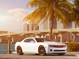 , , camaro,  , white, , Chevrolet