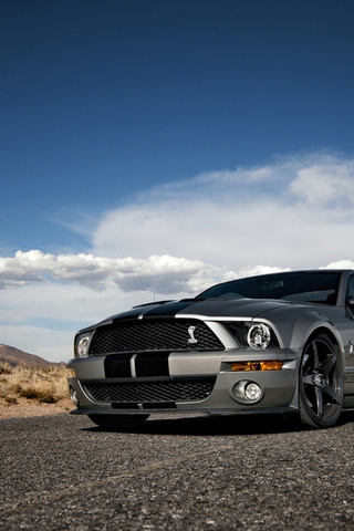 Ford, mustang, , shelby, muscle car, silvery, , , gt500