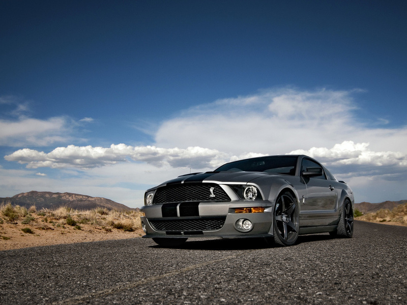 Ford, mustang, , shelby, muscle car, silvery, , , gt500