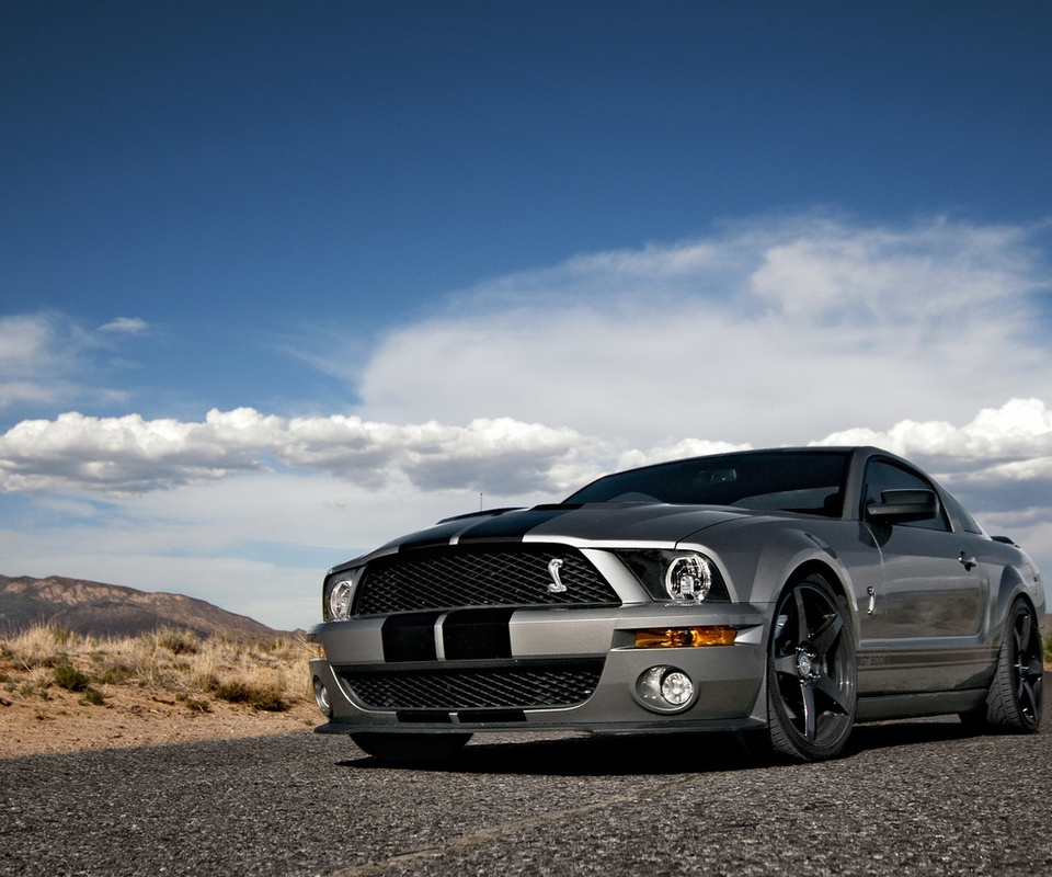 Ford, mustang, , shelby, muscle car, silvery, , , gt500