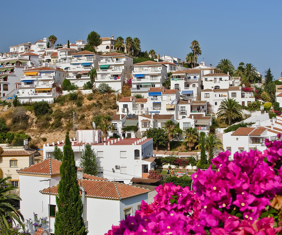 palms, nature, houses, spain, nerja, sky, flowers, city, Spanish landscape, tress