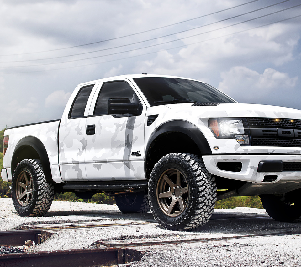 , , Ford, white, raptor, svt, , f-150