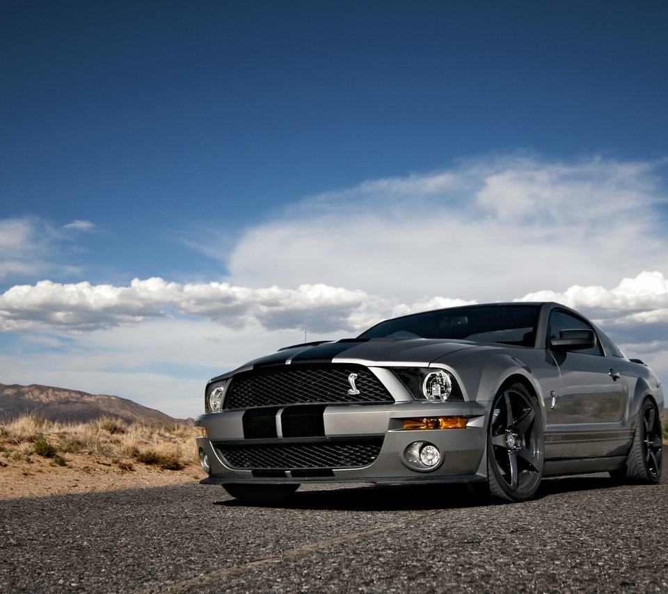 Ford, mustang, , shelby, muscle car, silvery, , , gt500