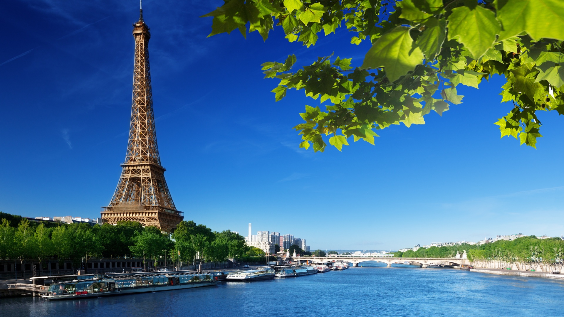 , La tour eiffel, , france,  , paris, 