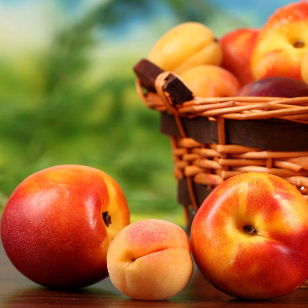 apricots, , , , fruit, , peaches